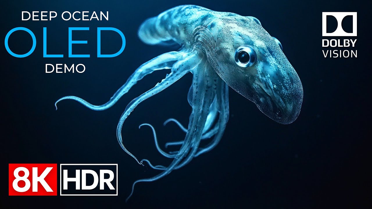 سری دوم کیفیت 480p