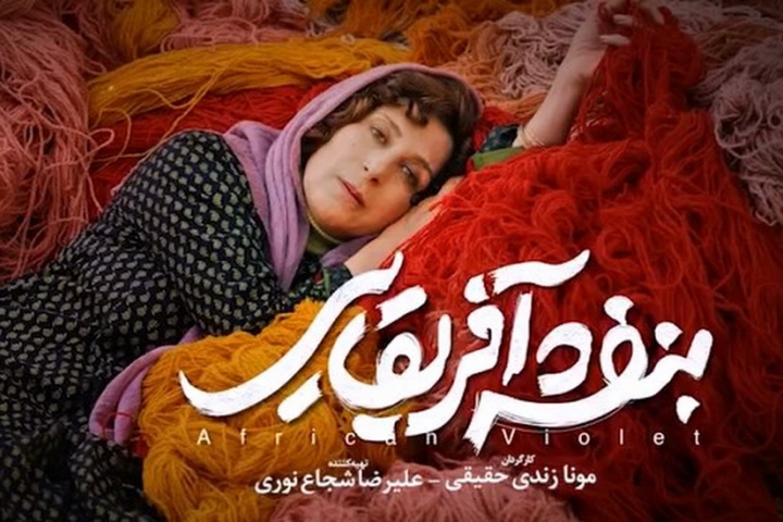 بنفشه افریقایی