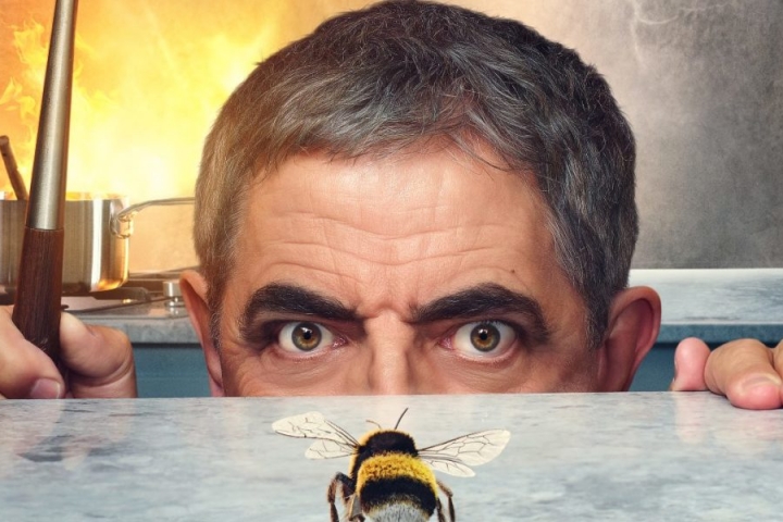 Man vs. Bee