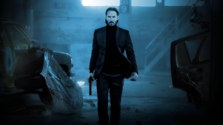 جان ویک / John Wick