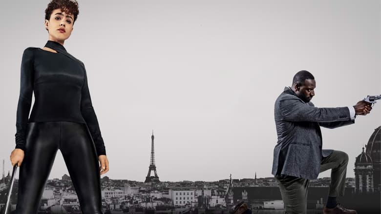 قاتل / The Killer 2024