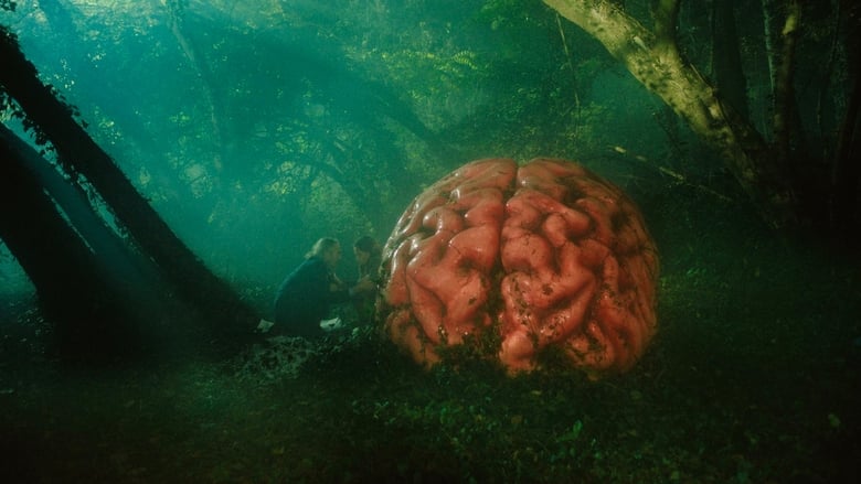 شایعات / Rumours