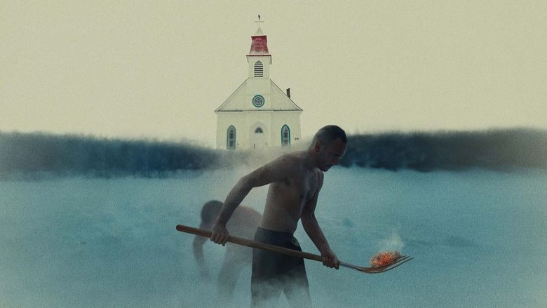 نیشکر / Sugarcane