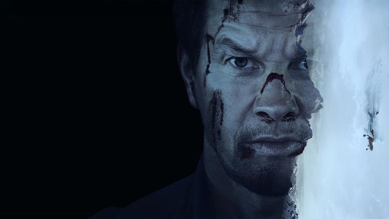 خطر پرواز / Flight Risk