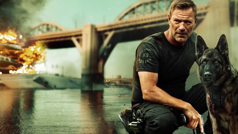 پوزه بند / Muzzle