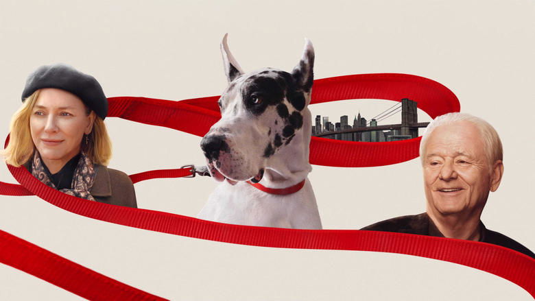 دوست / The Friend