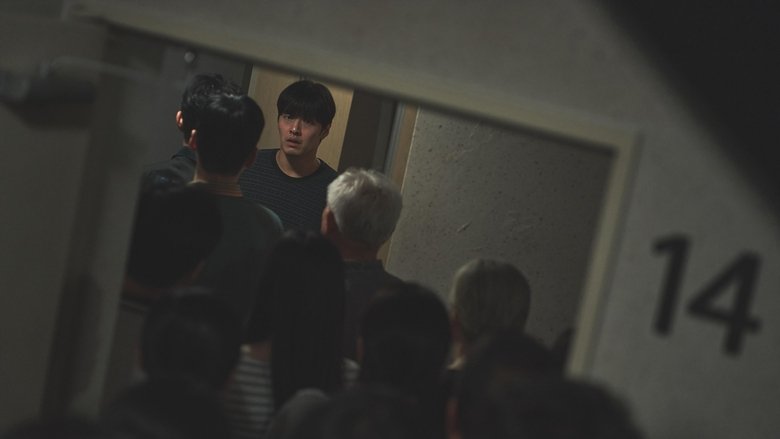 دیوار به دیوار / Wall to Wall