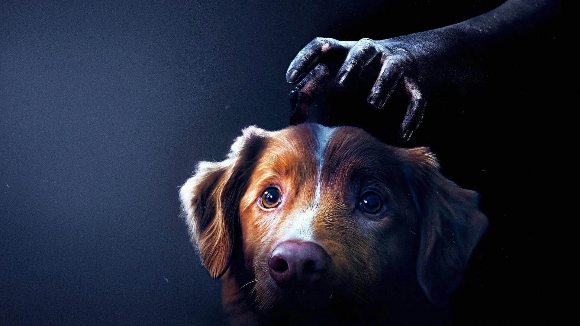 پسرخوب / Good Boy