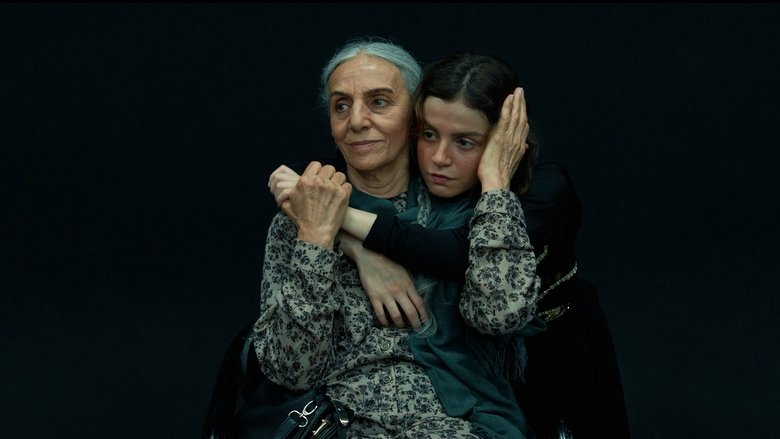 شاهد / The Witness