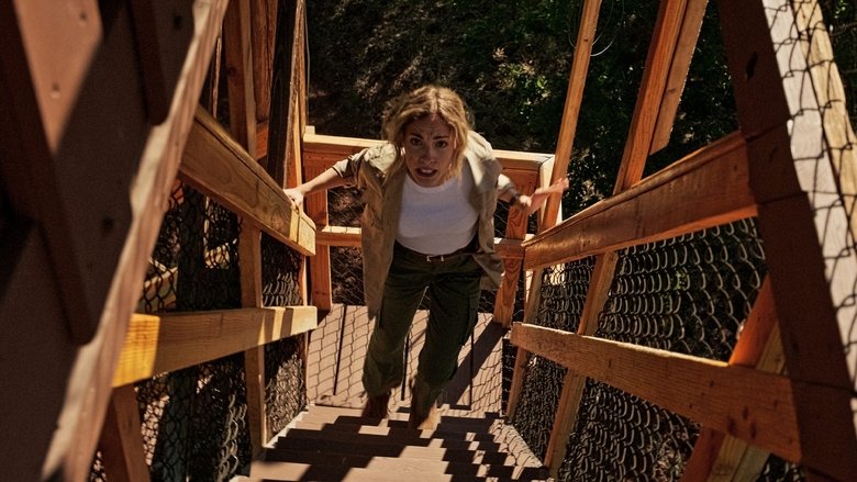 دیده بان / Lookout