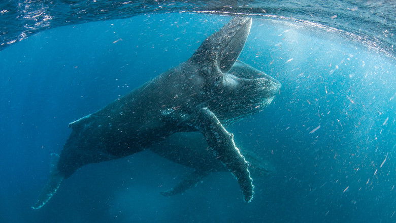 سیاره ما / Our Planet