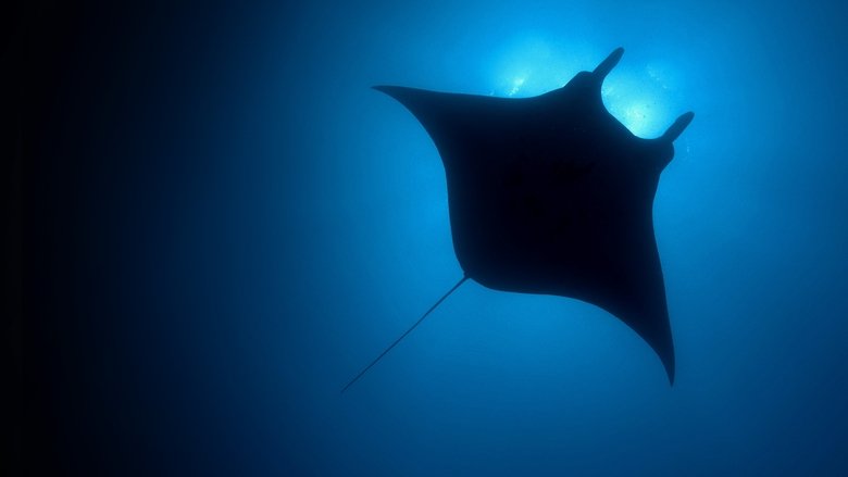 سیاره آبی / The Blue Planet