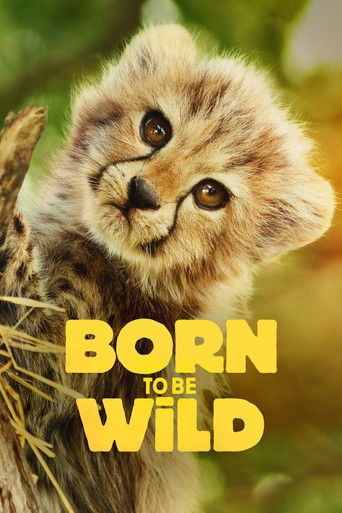 زاده برای وحشی بودن / Born to Be Wild
