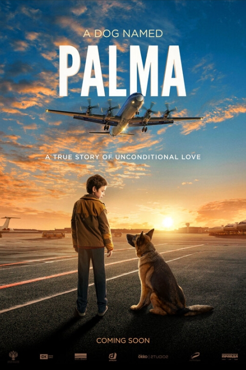 A Dog Named Palma