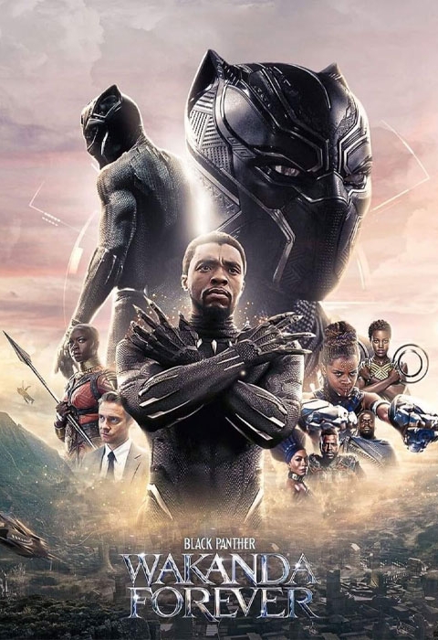 Black Panther 2