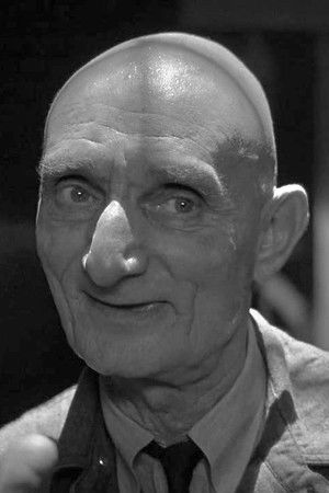 Harry Bugin Harry Bugin