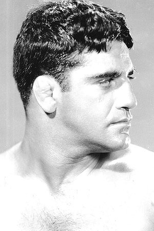 Sammy Stein Sammy Stein