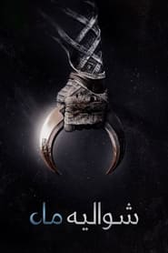 شوالیه ماه / Moon Knight