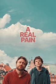 یک درد واقعی / A Real Pain
