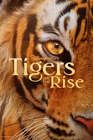 مستند ببرهای در حال ظهور / Tigers on the Rise