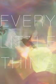 مستند تمام چیزهای کوچک / Every Little Thing