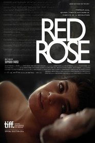 رز سرخ / Red Rose