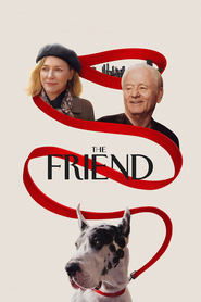 دوست / The Friend
