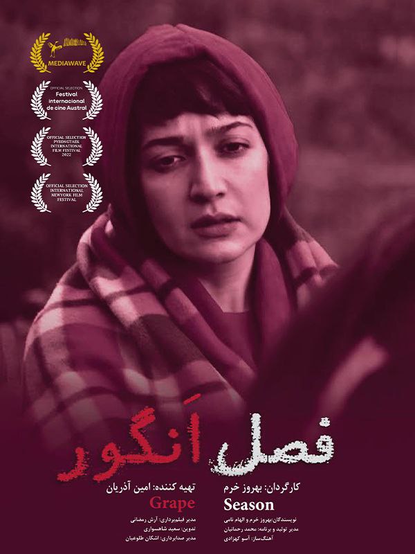 فصل انگور