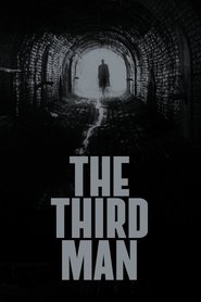 مرد سوم / The Third Man