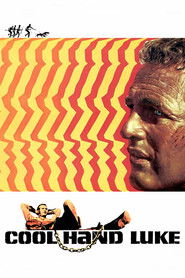 لوک خوش‌دست / Cool Hand Luke
