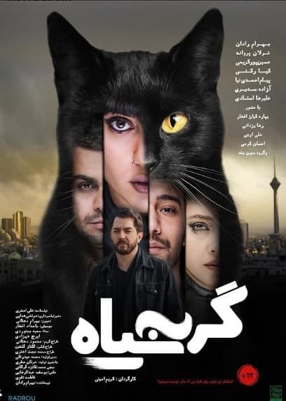گربه ها سیاه