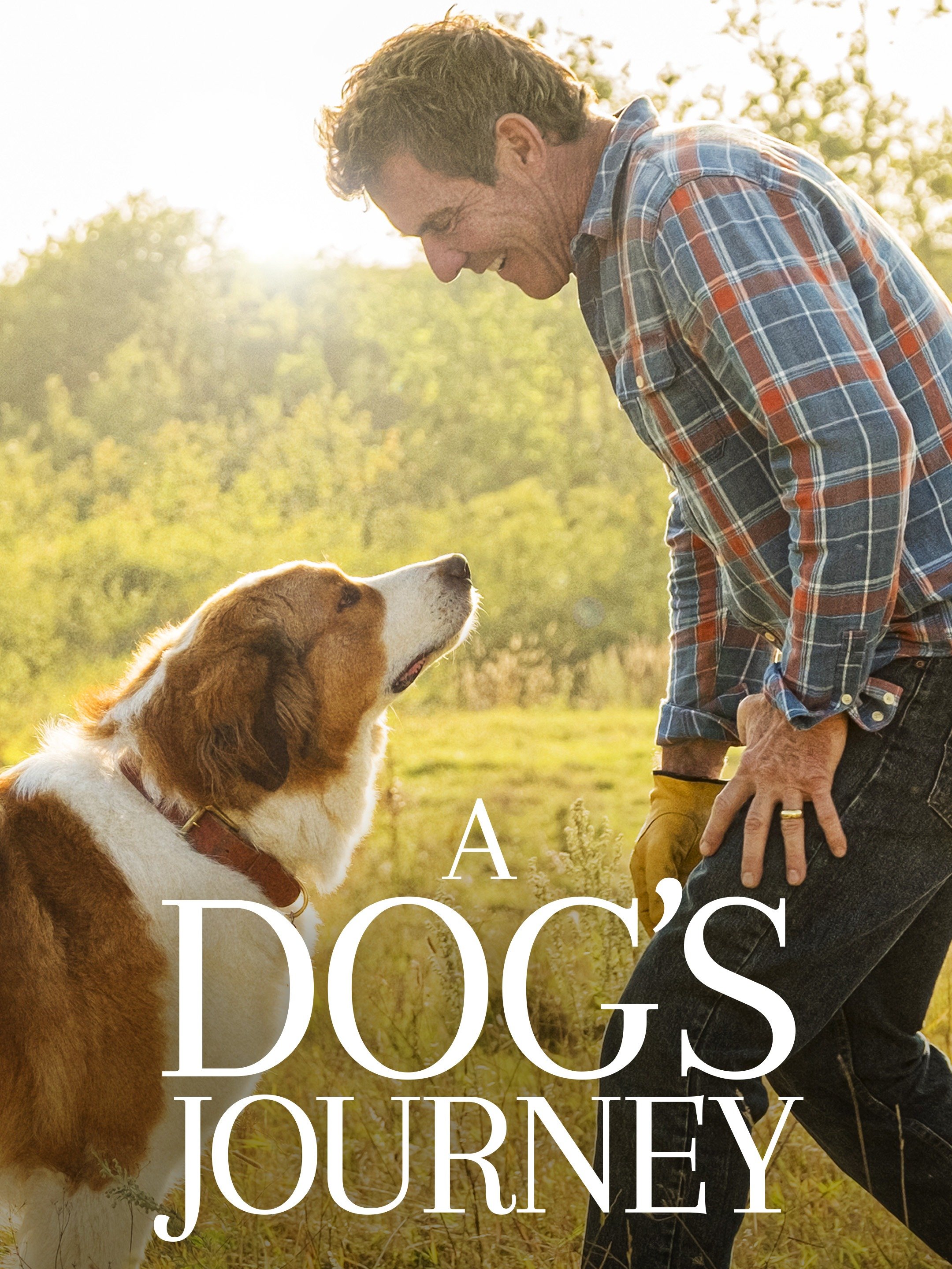 سر گذشت یک سگ / A Dogs Journey 2019